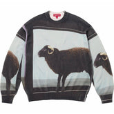 x Damien Hirst Sweater