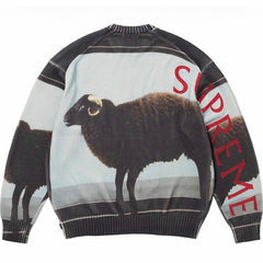 x Damien Hirst Sweater