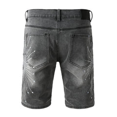Denim Shorts #5094