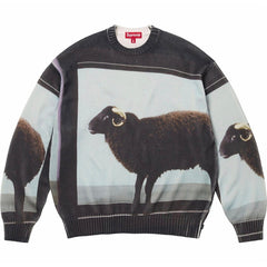 x Damien Hirst Sweater