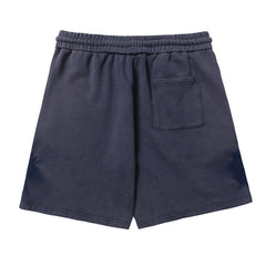 x Lanvin Shorts Blue