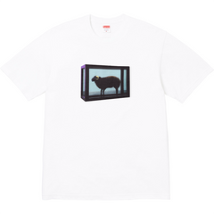 25SS Damien Hirst Tee